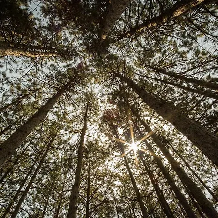 فندق Borkovac 3*